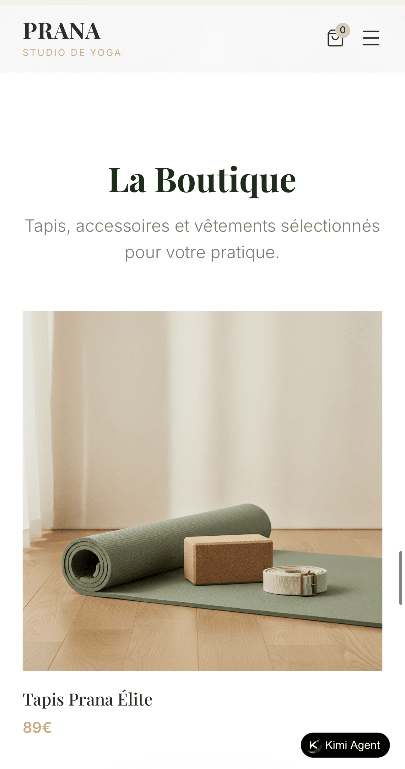 Prana maquette écran mobile 3