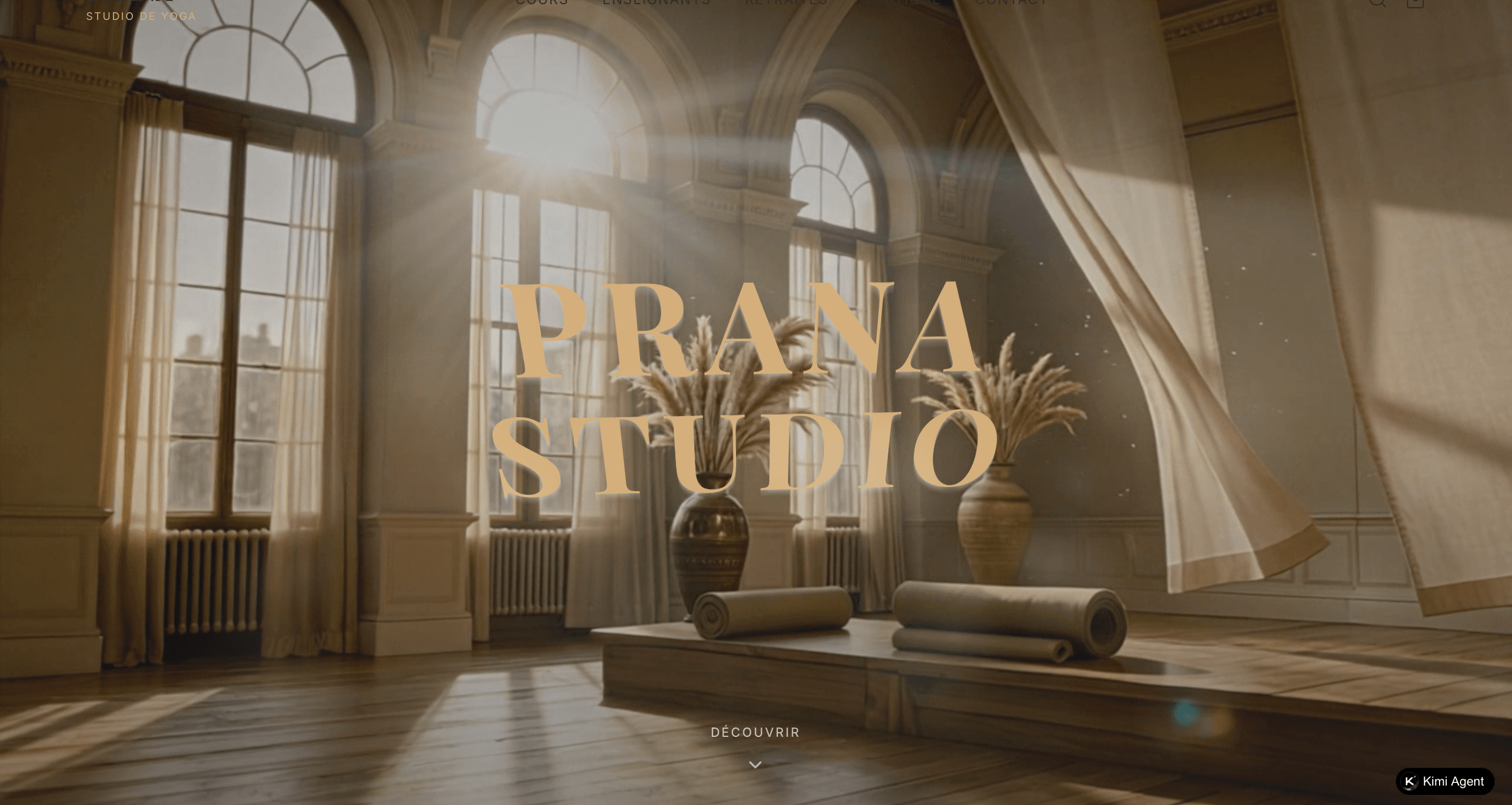 Prana maquette écran desktop 6